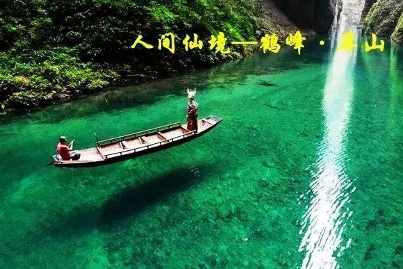 昔日撂荒地 今日“致富园”
